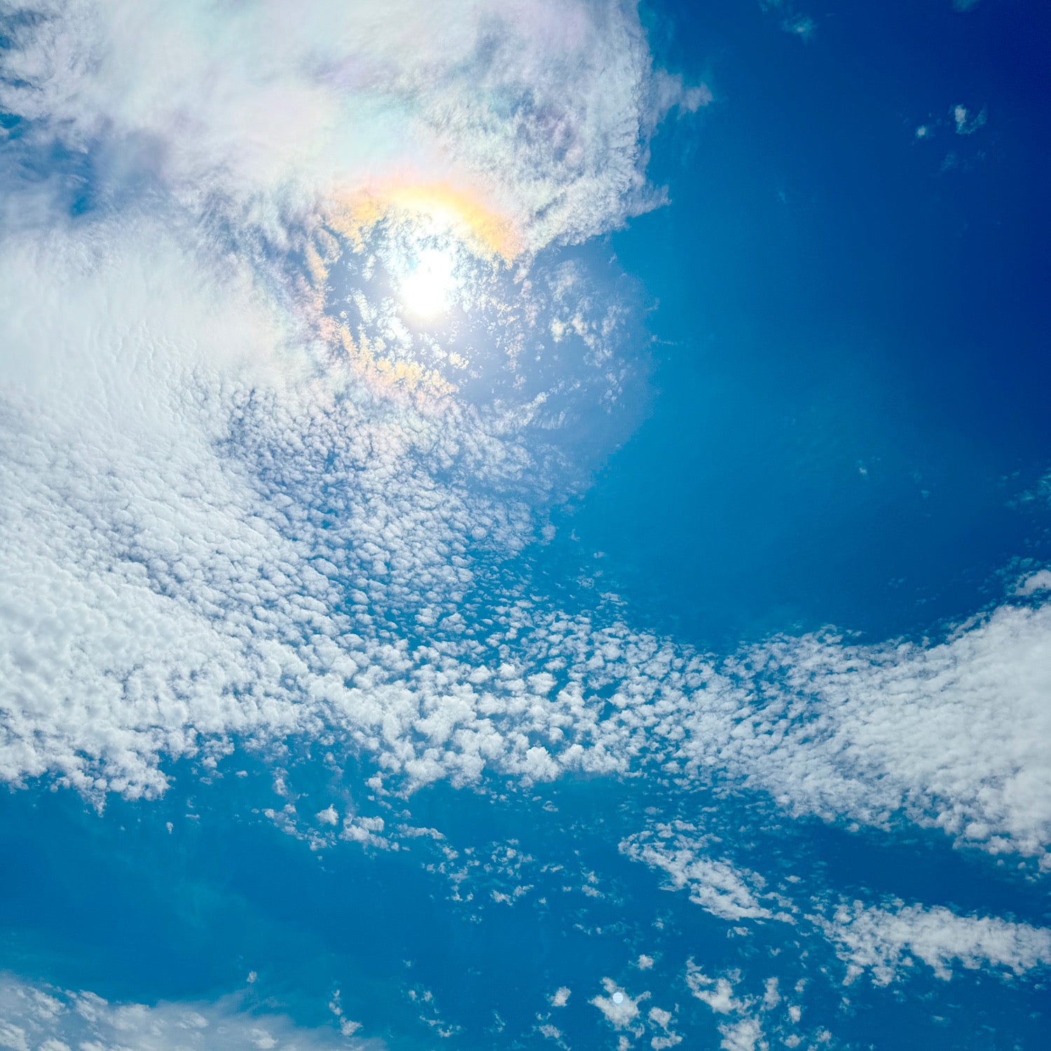 臨時休暇のお知らせ 2024年07月27日~08月1日まで