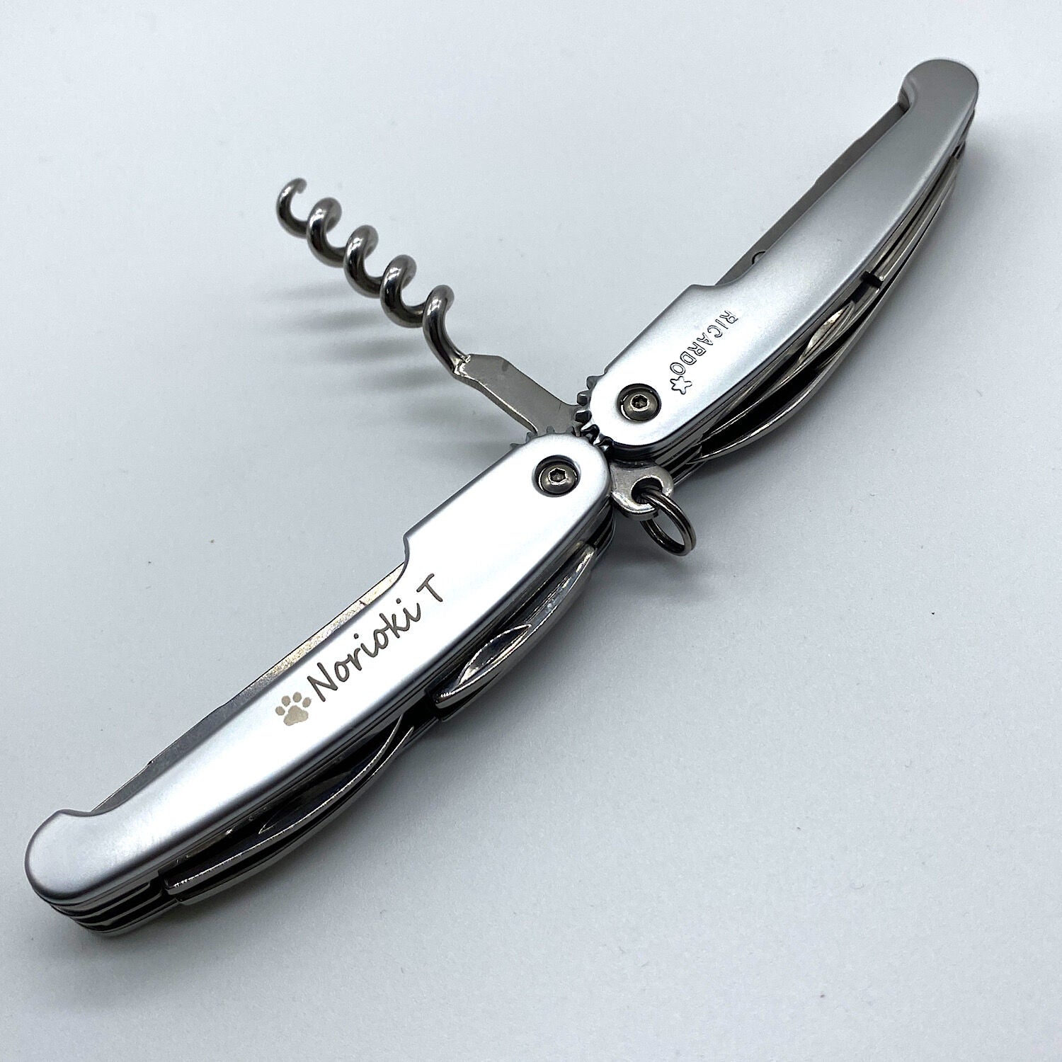 Ideal for the outdoors RICHARTZ RICARDO VINTULLA 4 Naming service