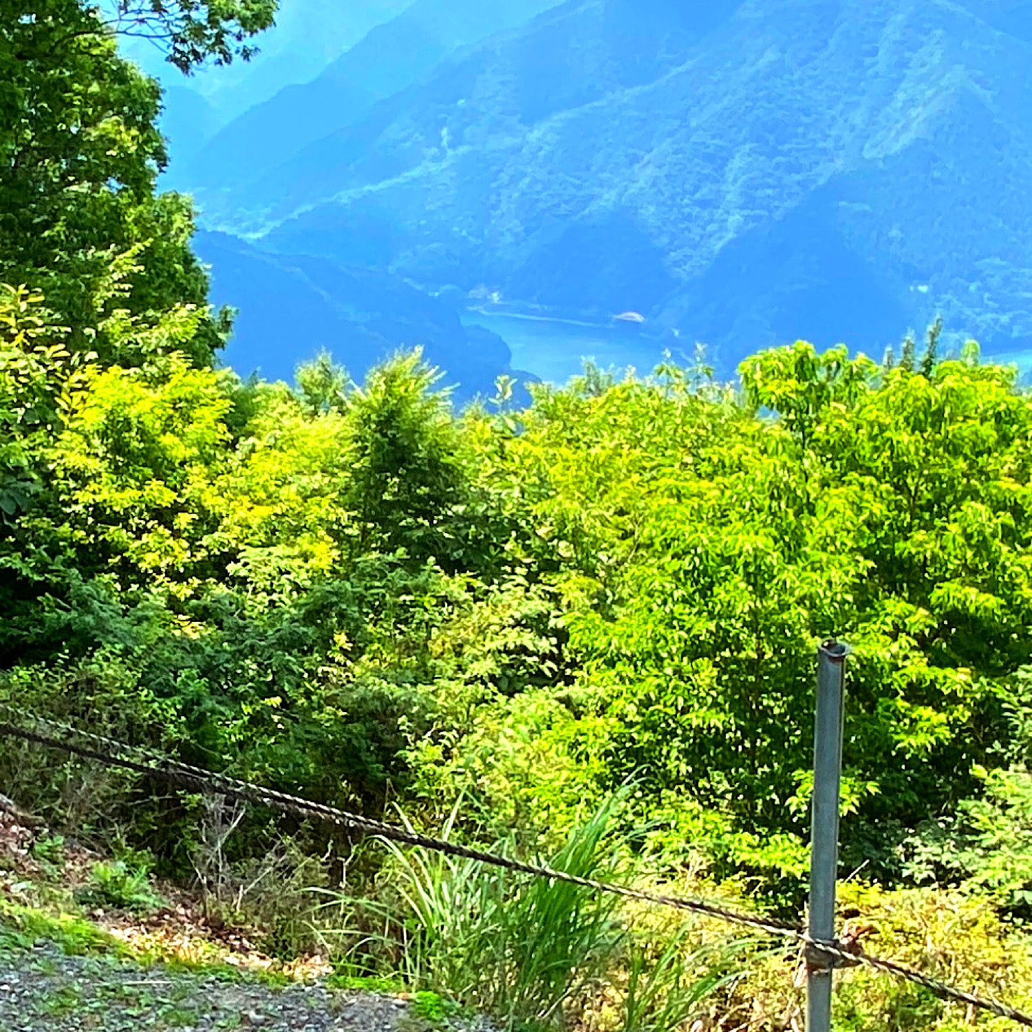 春のお悩み　花粉症と髭剃りについての僕のヒゲ剃り道。