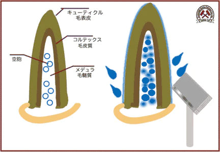 えっ！洗顔ブラシにも。モコモコ泡が特徴【名入れ可/ギフト】カミソリ倶楽部オリジナルイタリア製シェービングブラシ　名入れサービス付き